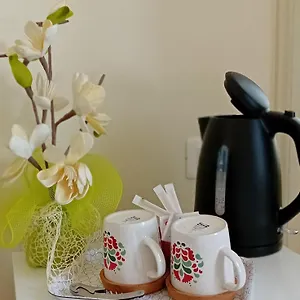 Bed and breakfast Villino Luschi Centro, Pisa